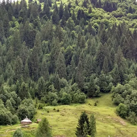 Private Guslashky * Kolochava